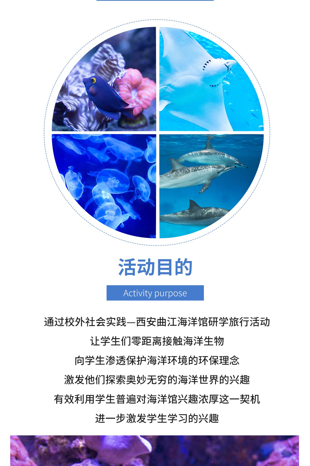 海洋馆_02.jpg